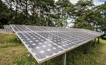 New Non-Toxic Solvent Paves Way for Commercialization of Perovskite Solar Cells
