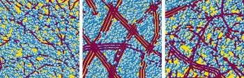 X-Ray Vision Helps to Examine Degradation of Plastic Solar Cells