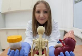 New Polymer May Help Detect Early Stages of Kidney Disease