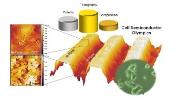 Surface Texture of GaN Materials Influence Health of Nearby Cells
