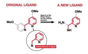 Researchers Develop New Catalytic Technique to Synthesize Life-Saving Drugs