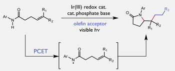 Novel Pathway to Construct Carbon-Carbon Bonds Sidesteps Need for Reactive Functional Groups
