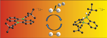 Goethe University Chemists Develop New Catalyst for Splitting Hydrogen Molecule