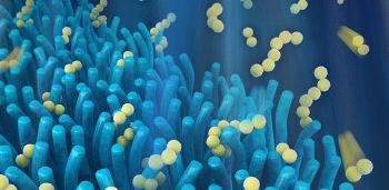 Intestinal Villi Inspire Researchers to Develop Next-Generation Smartphone Battery