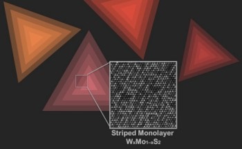 Discovery of Atomic Chains in Two-Dimensional Crystal Could Help Researchers Control Properties of Matter