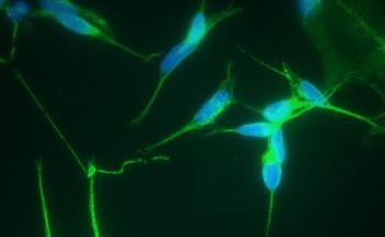 New Method Has Potential to Link Biological Materials and Electronic Devices