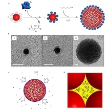 Gold Nanoparticle-Based Supraspheres Could be Used to Perform Classical Host-Guest Chemistry