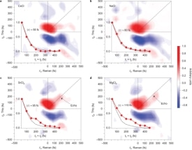 Raman-Terahertz Spectroscopy Helps Reveal How Ion Solvation Affects Hydrogen Bonding Network in Water