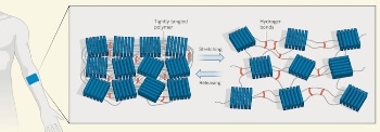 Researchers Develop New Stretchable, Self-Healing Thin-Film Polymeric Semiconductors