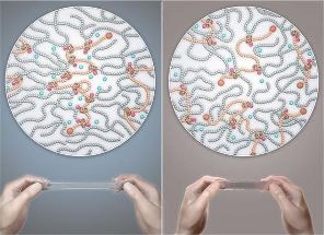 Designing High-Strength Polymer Gels Based on Molecular “Beads” and Polymer “Threads”