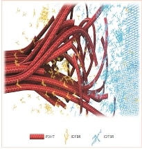 Researchers Develop Efficient and Stable Ternary Solar Cells Using Low-Cost Materials