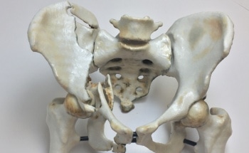 TeraRecon Partners with WhiteClouds to Offer New 3D Print Packs