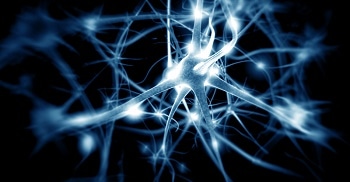 Researchers Work on Prospective Usage of Biosynthetic Melanin in Bioelectronics