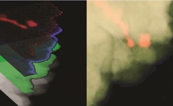 Researchers Move One Step Closer to Developing Devices to Convert Heat into Electricity