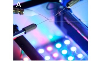 New 2D Semiconducting Polymer-Blended Nanonetwork Material Could Form Backbone of Organic Electronics