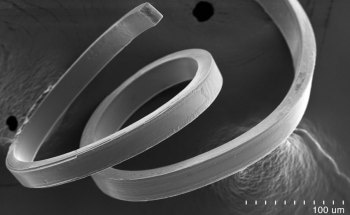 Researchers Successfully Create Flexible Ferroelectrics