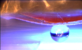 New Bio-Inspired Adhesive Material can be Remotely Controlled by UV Light
