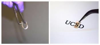 Researchers Create Thin, Flexible, Light-Absorbent Material with Numerous Potential Uses