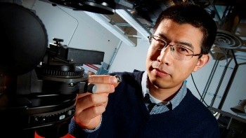A Study on Beetle Exoskeletons May Help Engineer Lighter, Stronger Materials