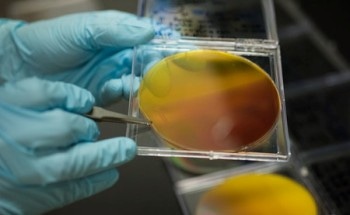 Researchers Discover Photoanodes that help in Extracting Hydrogen Gas from Water