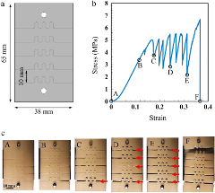 Researchers Create 3D-Printed Bio-Inspired Interlocking Sutures