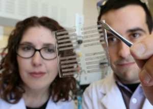 Researchers Examine New Polymers to Advance Field of Stretchable Electronics