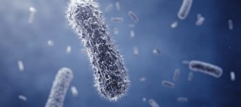 Researchers Develop Inexpensive Method to 3D-Print Bacteria into Shapes and Patterns