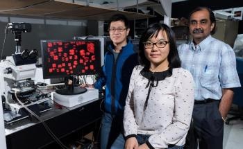 Unexpected Twist in Confined Liquid Crystals may Pave Way for New Sensors