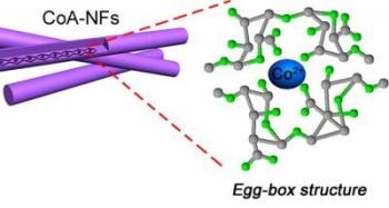 Seaweed-Derived Materials can Fuel Futuristic Superconductors