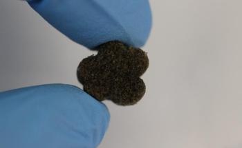 Bioactive Moldable Foam for Skull Bone Replacement