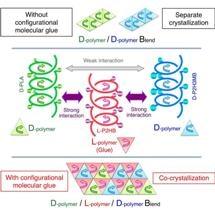 Study Results Pave Way for Development of New Polymer Materials