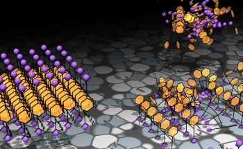 Study Findings Address Ongoing Debate About Crystallization Pathway