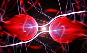 Researchers Develop a New Tool to Study Disordered Atomic Structures