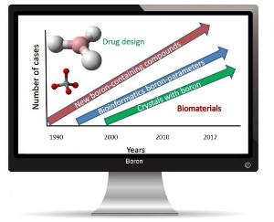 State-of-the-Art Bioinformatics for Investigating Boron-Containing Compounds