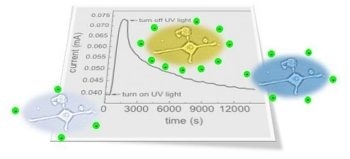 Novel Persistent Photoconductivity Approach Holds Promise for Bioelectronics