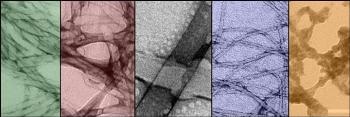 New Self-Assembling Molecules can Change into Novel, Exotic Shapes Using UV Light