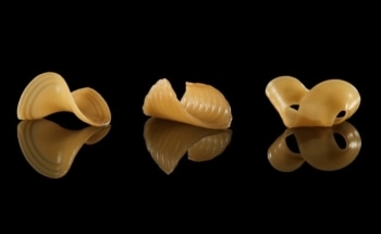 MIT Researchers Create Shape-Changing Pasta