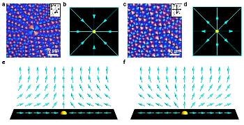Direct In Situ Analysis of Phase Transition of Liquid Crystal Topological Defects