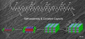 Rice Researchers Create Hydrogel Strings Using Compound Found in Mussels