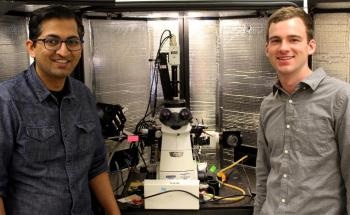 Scientists Uncover Design Principles to Make Polymers that Could Transport Both Ions and Electrons