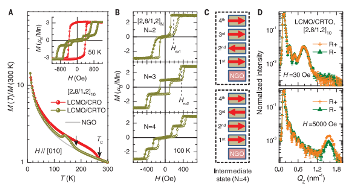 Researchers Resolve Dead Layer Effect in Antiferromagnets