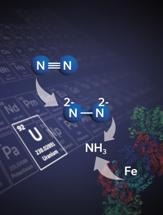 New Uranium-Based Compound can Allow Nitrogen Fixation to Take Place in Ambient Atmosphere