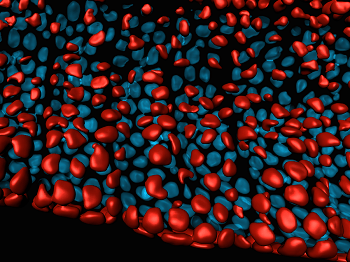 Ground Breaking Technology for Analysis of Extremely Large Images