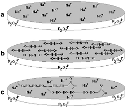 Researchers Use Artificial Nanosilicate Clay to 3D Print New Scaffolds