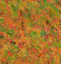 Scientists Synthesize and Study New Liquid-Crystal Photochromic Polymers