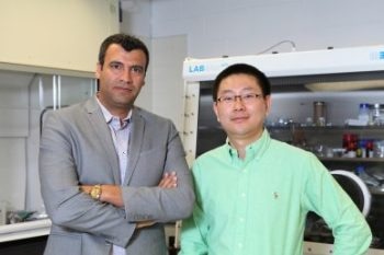 Researchers are Aiming to Make Lithium-Ion Batteries Stronger and Safer
