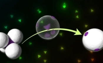 Chemists Create Playdough/Lego-Like Particles to Make Miniature Building Blocks