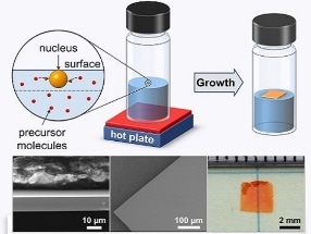 New Strategy for Growing Perovskites into Centimeter-Scale, Highly Pure Crystals