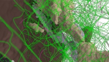 Atomic-Scale Simulations Could Solve the 'Jiggle and Wiggle' of Metal Strength