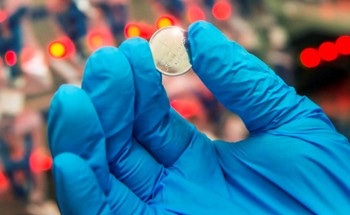Organic/Inorganic Sulfur Shows Promise for Safer and More Efficient Lithium Batteries